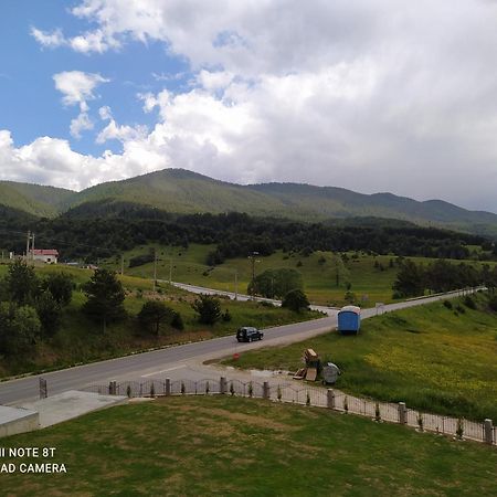 Вили Елеганс Сърница Quarto foto